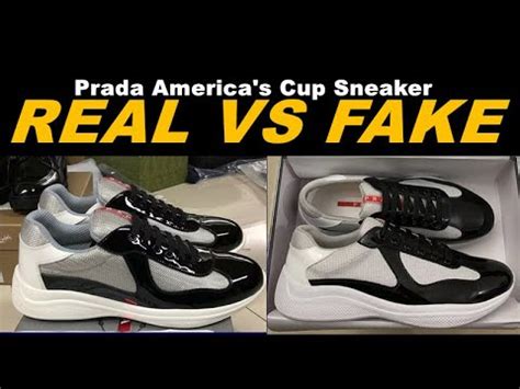 replica prada cup rai